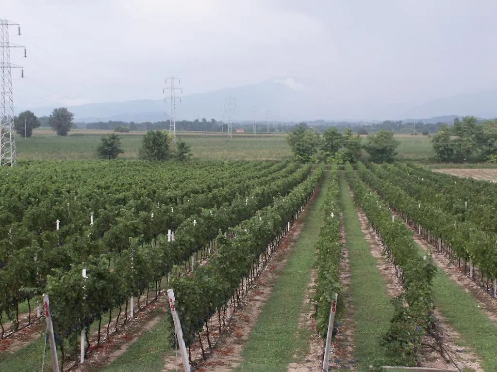 Agriturismo Colombarola Sona Country house