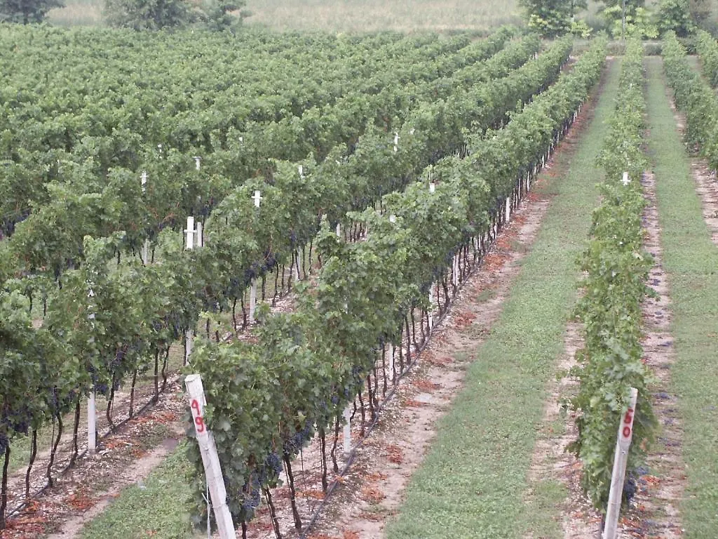 Agriturismo Colombarola Sona